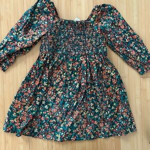 J. Crew CrewCuts Multi-Colored Dress with Sleeves